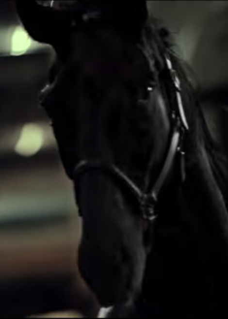 Carling Black Label – The Horse, extended version